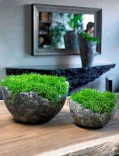 WAVY BOWL
